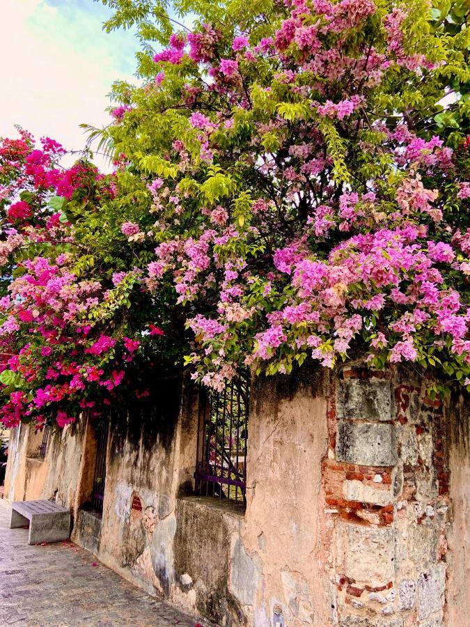 Boutique Hotel Casa Grande Santo Domingo Exteriör bild